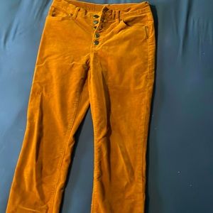 CAbi fly skinny cord, size 6.